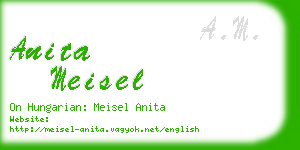 anita meisel business card